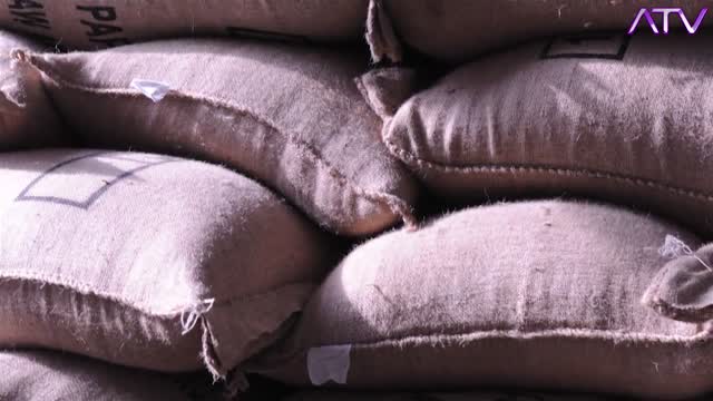 Kawa, jej gatunki i rodzaje. Iluminaticon, ATV