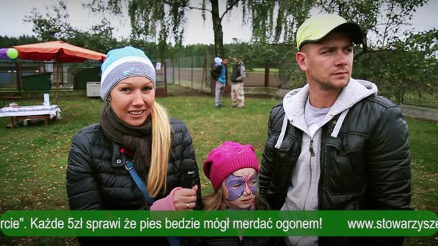 Schronisko dla psów bezdomnych