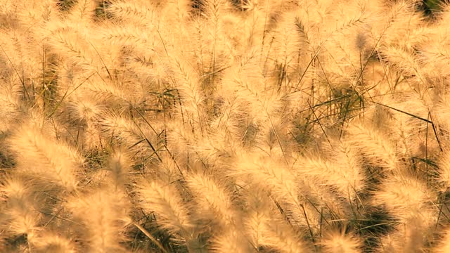 Teresa Werner i Goran Karan - Gdy brak miłości