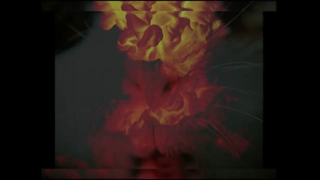 Transgresja - Ludzie Atomów Masowej Destrukcji (Official Video)