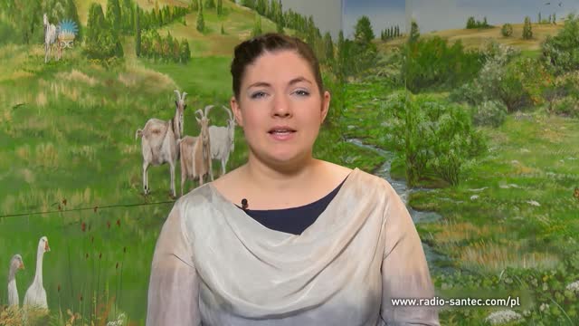 LIOBANI Współdziałanie aniołów stróżów i istot natury.