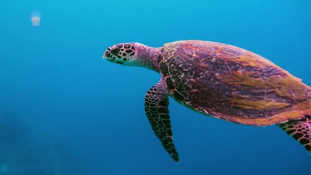 Żyj ze mną. Część 04