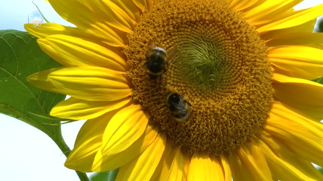 Żyj ze mną. Część 06