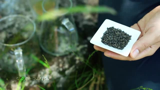 Czy warto odwlekać drugie parzenie zielonej herbaty?