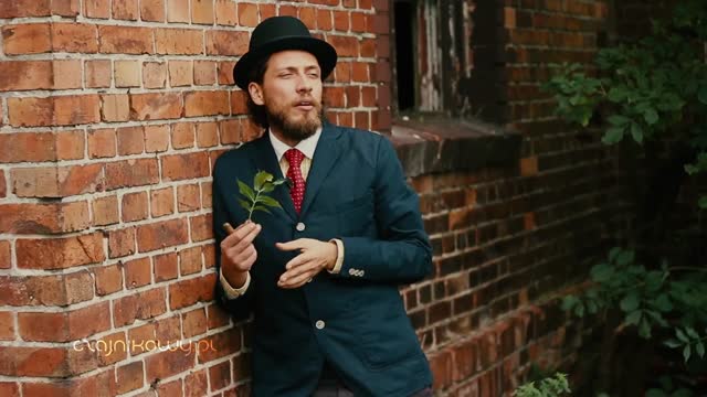 Jak fałszowano herbatę? Podróbki herbaty.