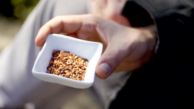 Najlepsza herbata na wzmocnienie odporności