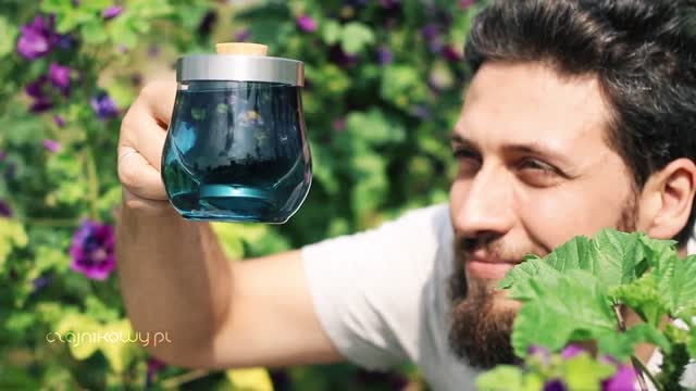 Herbata ze Ślazu Dzikiego